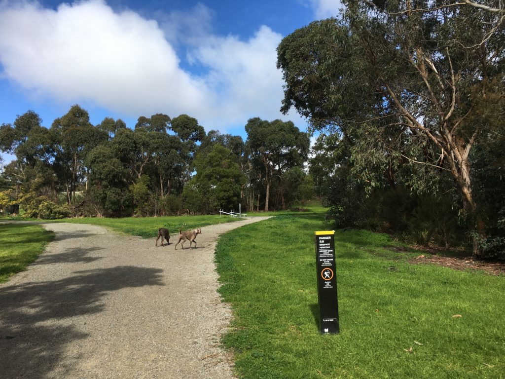 Glen Eira Council Archives Doggy Friendly Places